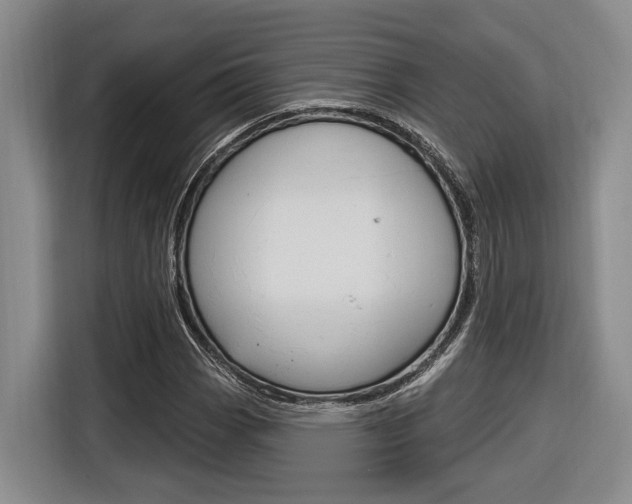 X0000116891113200912220959