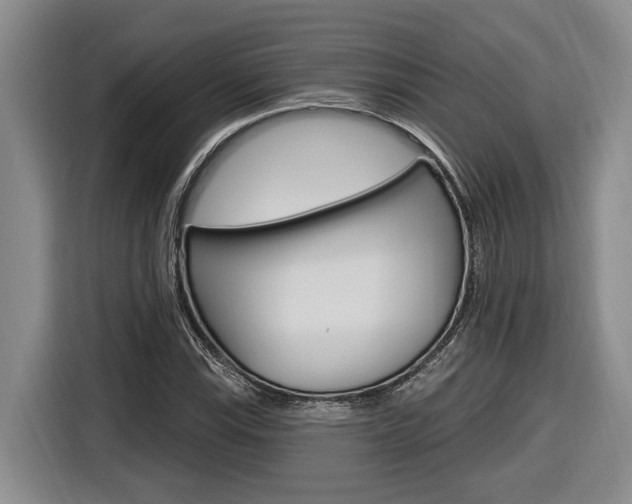 X0000116891115200912220959