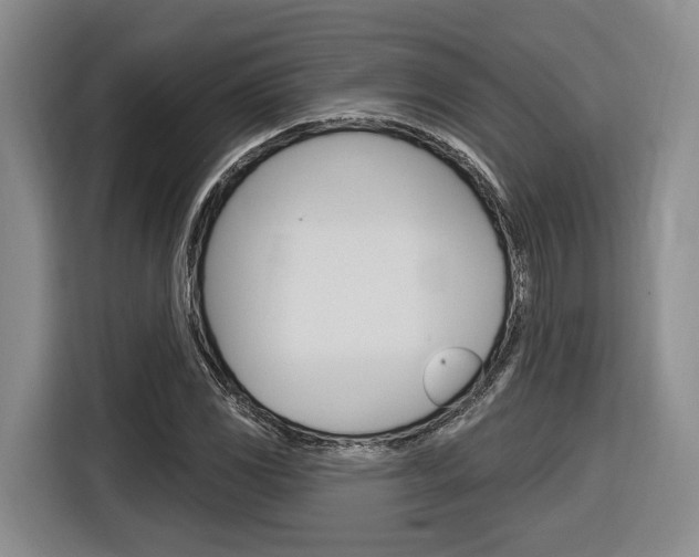 X0000116891117200912220959