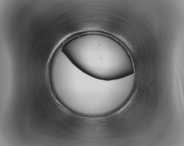 X0000116891118200912220959