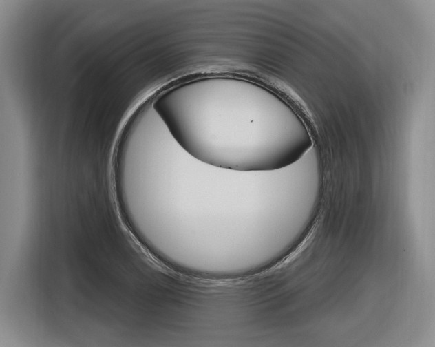 X0000116891122200912220959