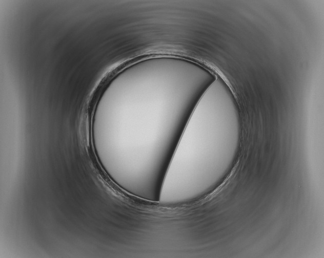 X0000116891123200912220959