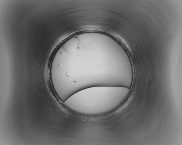 X0000116891125200912220959