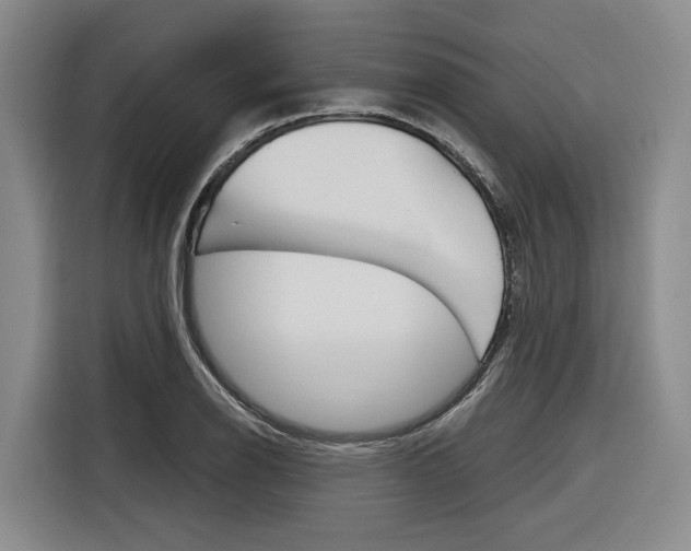 X0000116891126200912220959