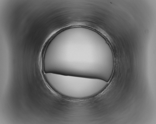 X0000116891127200912220959