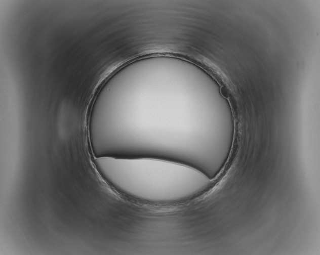 X0000116891129200912220959