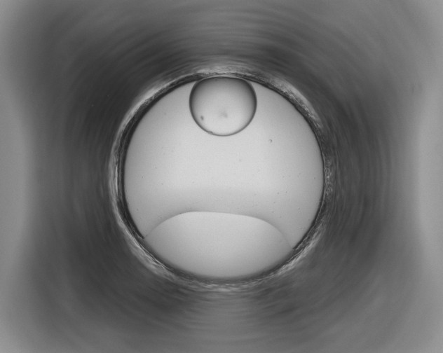 X0000116891130200912220959