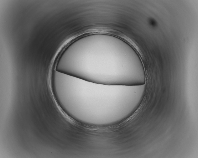 X0000116891131200912220959