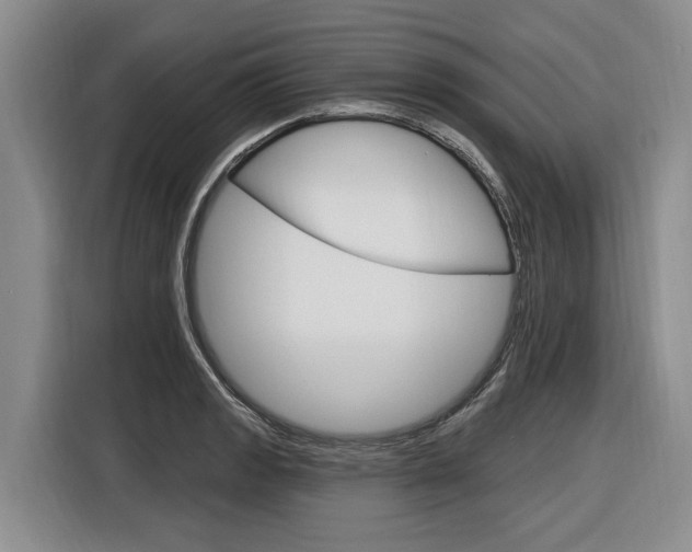 X0000116891133200912220959