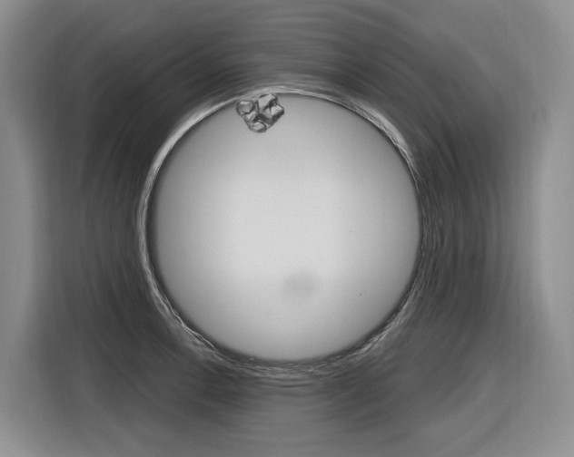 X0000116891138200912220959