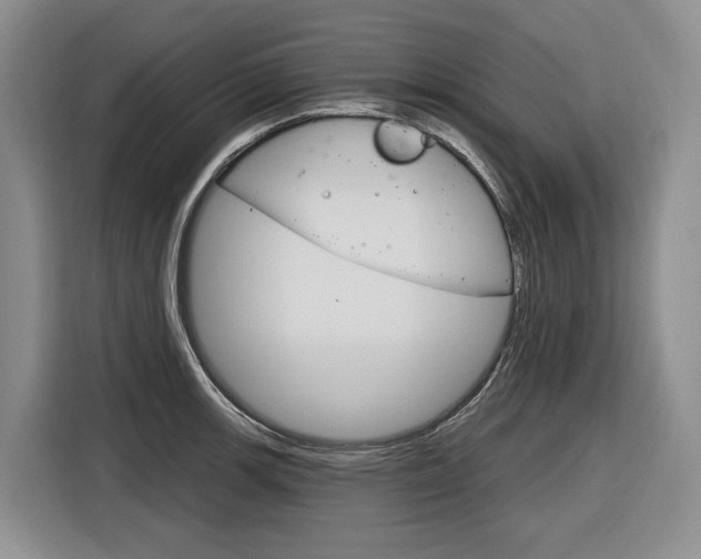 X0000116891139200912220959