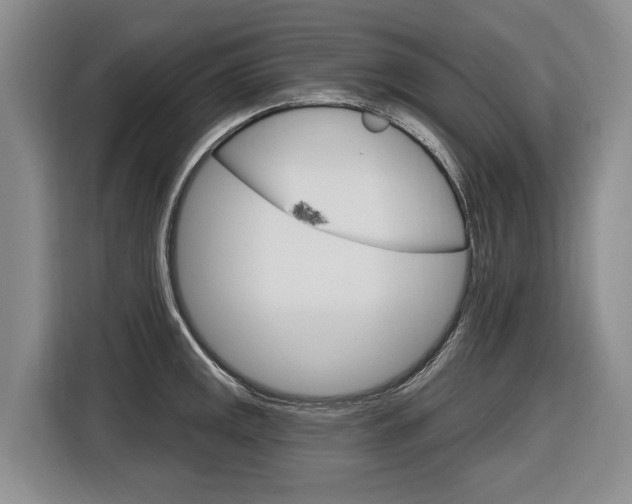 X0000116891141200912220959