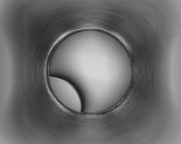 X0000116891142200912220959