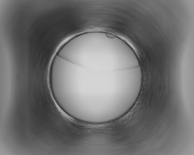 X0000116891143200912220959