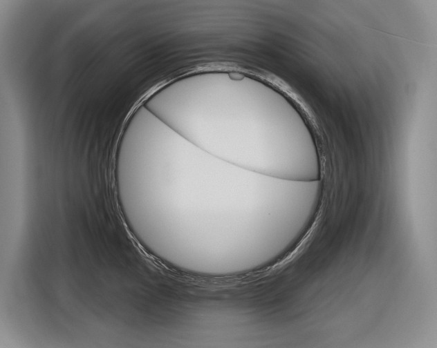 X0000116891145200912220959