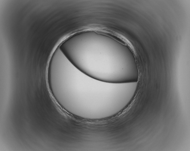 X0000116891146200912220959