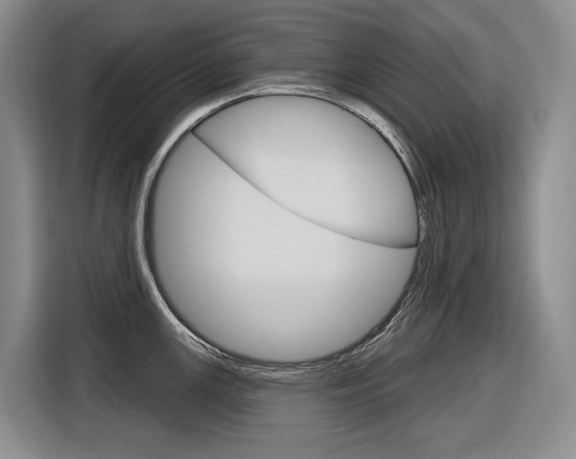 X0000116891147200912220959