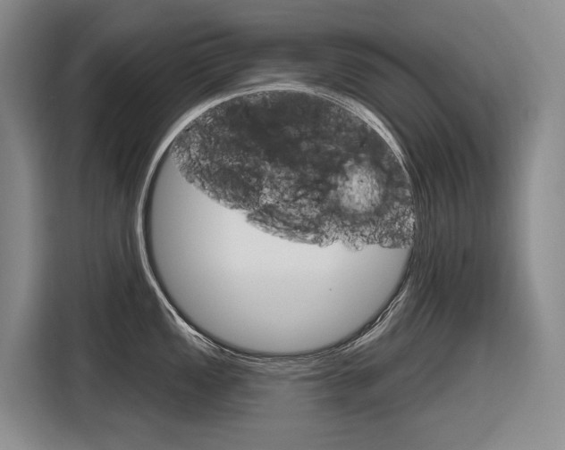 X0000116891149200912220959