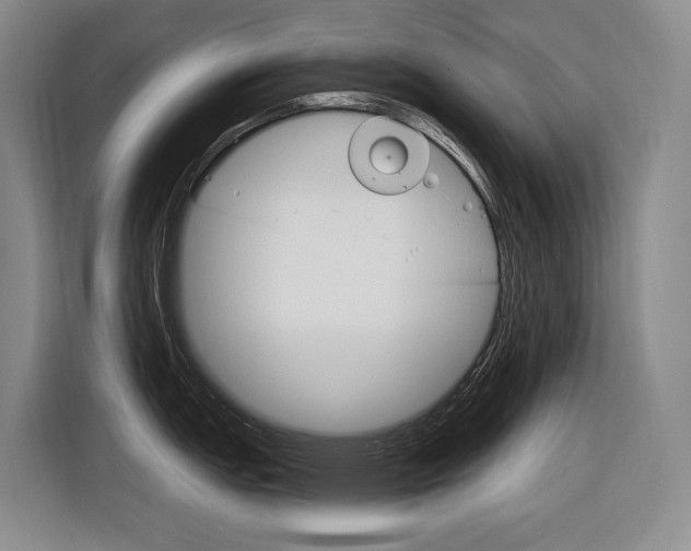 X0000116891151200912220959