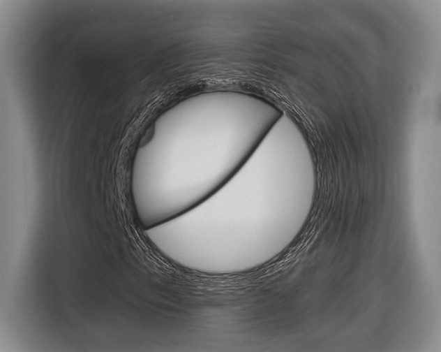 X0000116891153200912220958