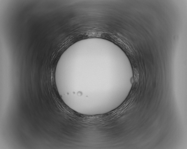 X0000116891154200912220958