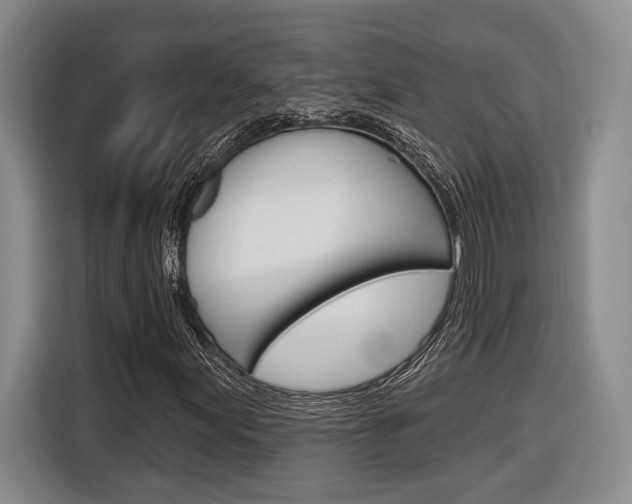 X0000116891155200912220958