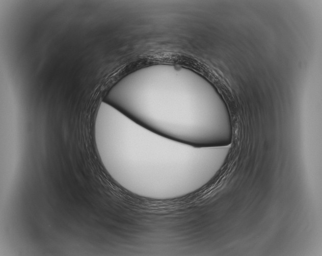 X0000116891156200912220958