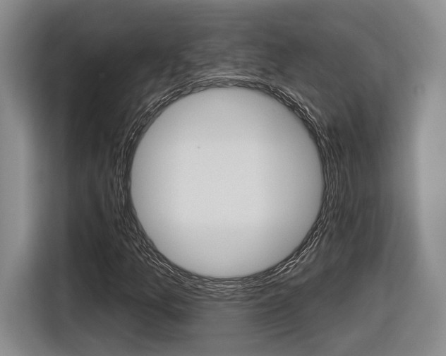 X0000116891157200912220958
