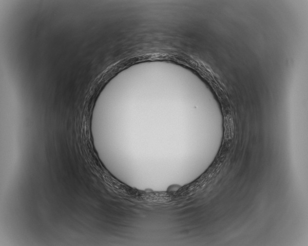 X0000116891158200912220958