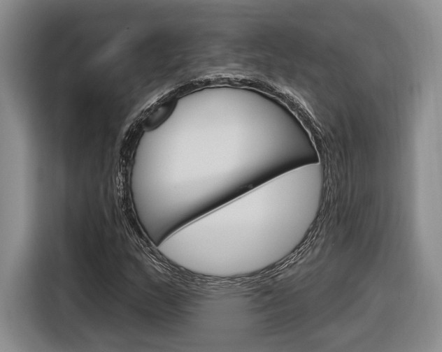 X0000116891159200912220958