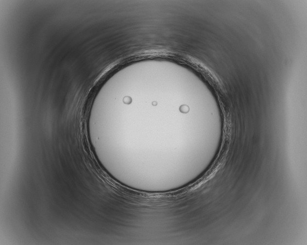 X0000116891162200912220958
