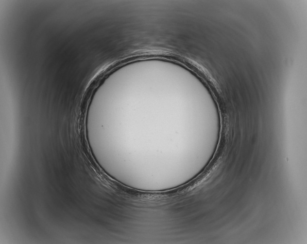 X0000116891163200912220958