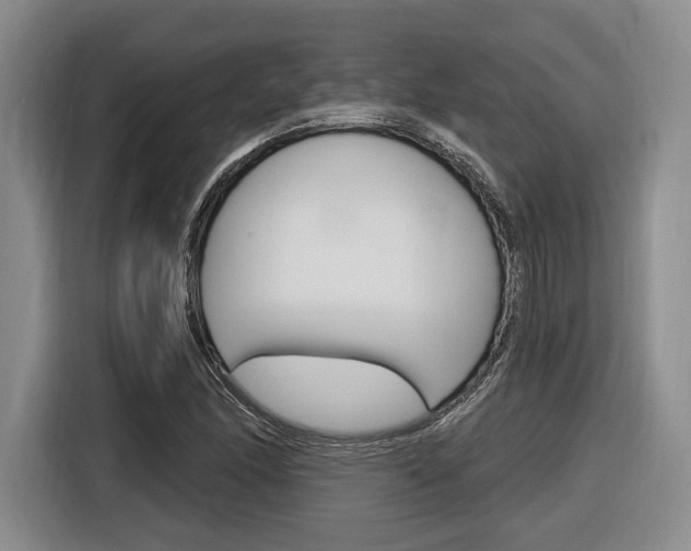 X0000116891166200912220958