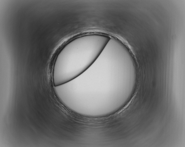 X0000116891167200912220958