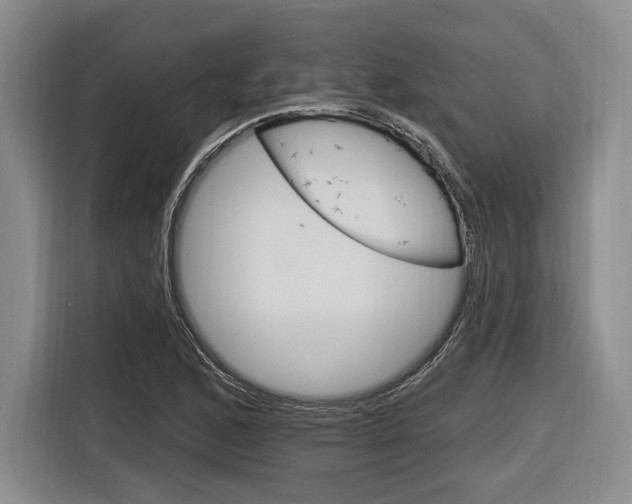 X0000116891168200912220958