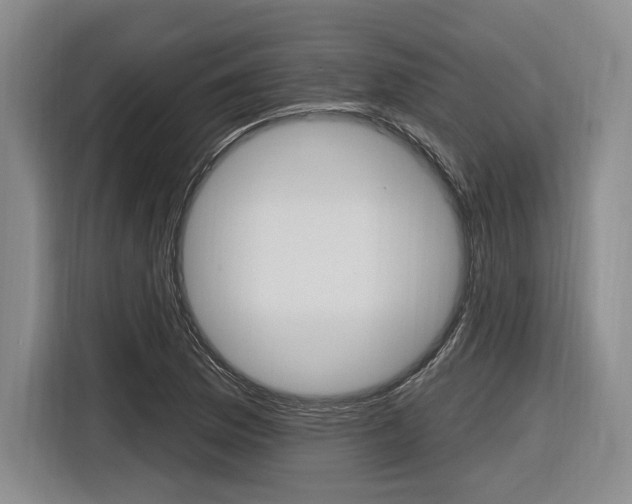 X0000116891169200912220958