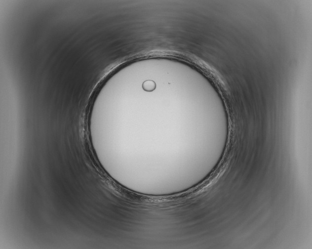 X0000116891170200912220958