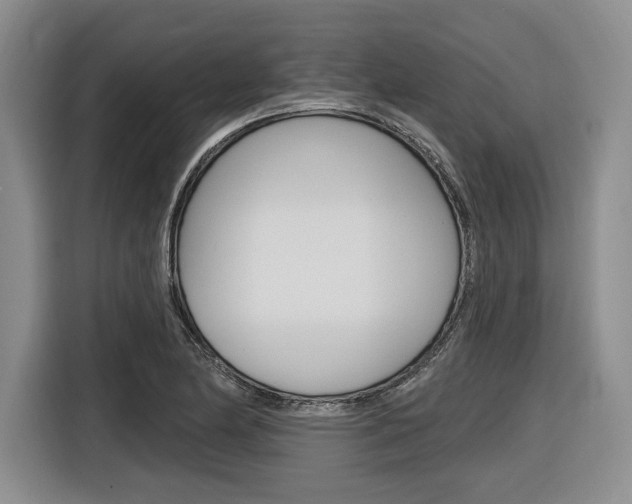 X0000116891174200912220958
