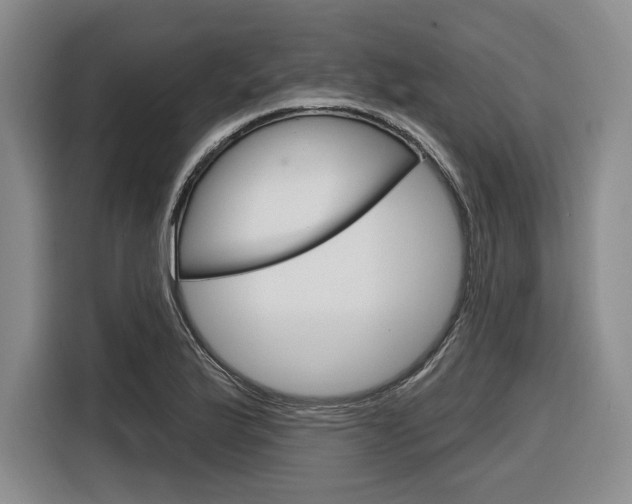 X0000116891175200912220958