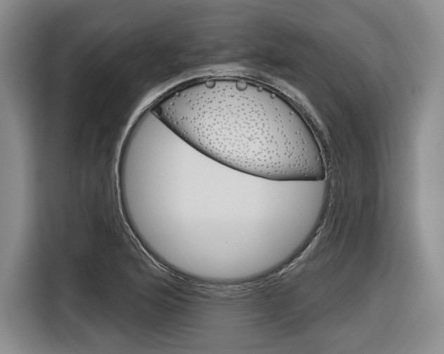 X0000116891176200912220958