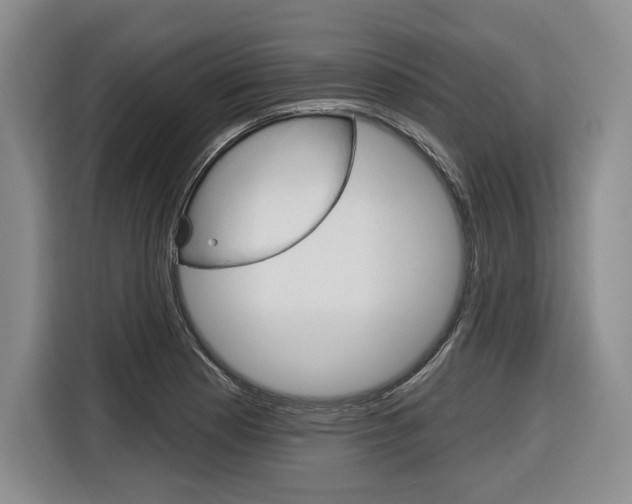 X0000116891177200912220958