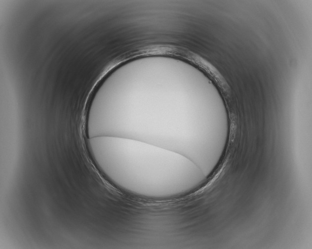 X0000116891178200912220958