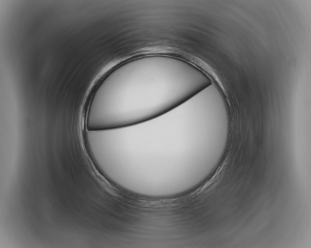 X0000116891179200912220958
