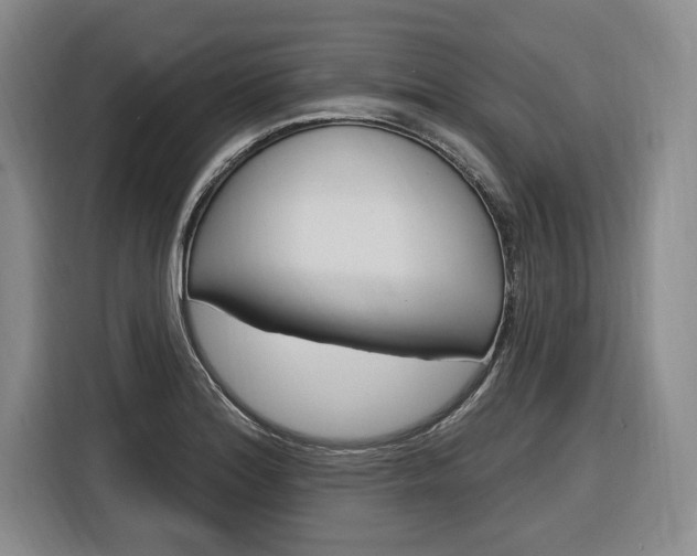 X0000116891180200912220958