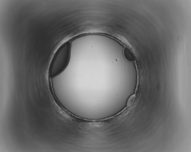 X0000116891181200912220958