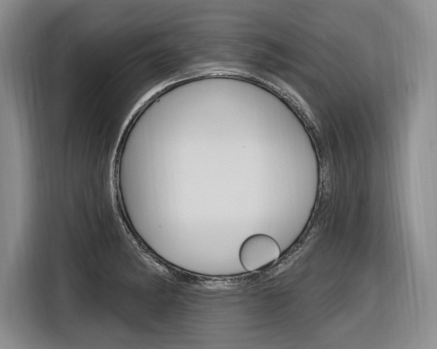 X0000116891182200912220958