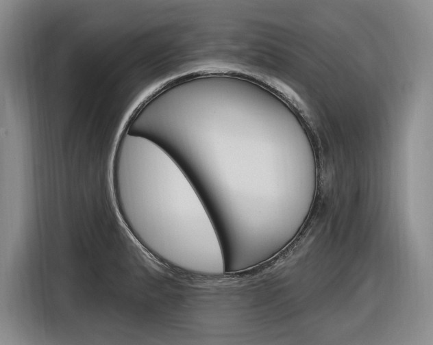 X0000116891183200912220958
