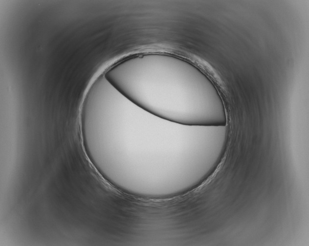 X0000116891184200912220958