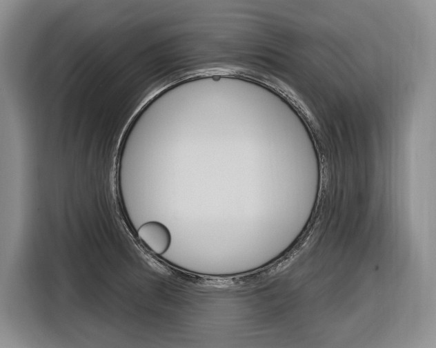 X0000116891186200912220958