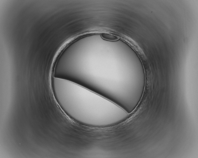 X0000116891188200912220958